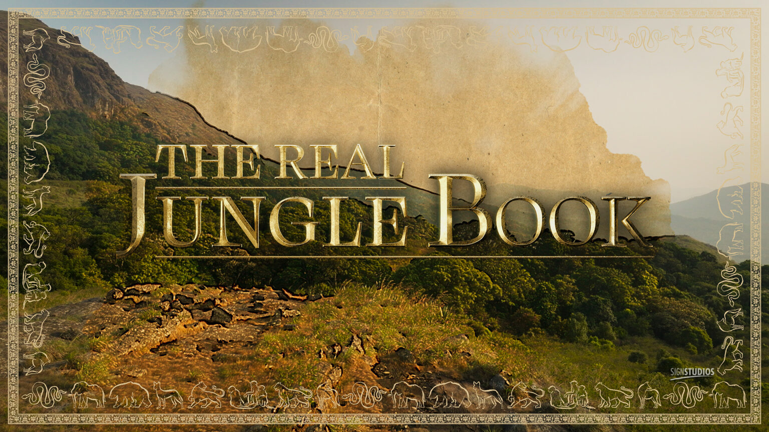 The Real Jungle Book – signSTUDIOS Film & Media Production – 2D / 3D ...